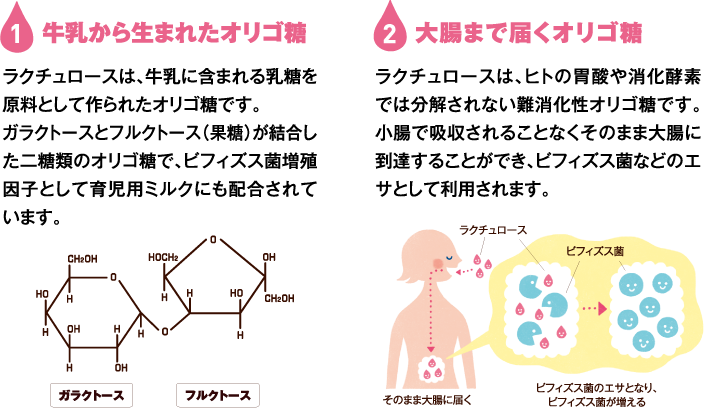 ミルクオリゴ糖ラクチュロースシロップ｜プレ・プロバイオティクス食品｜株式会社クリニコ